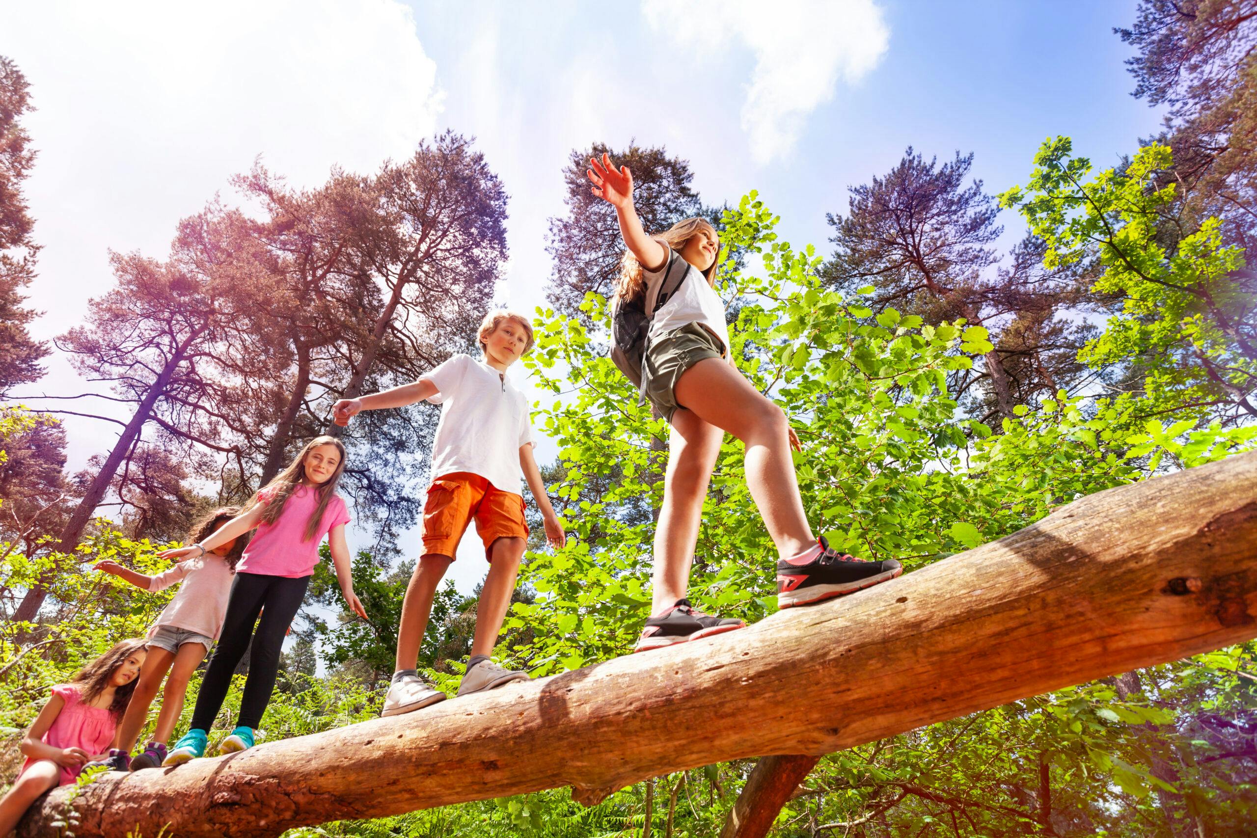 A group of teens walking on a log in the bush on an adventure.